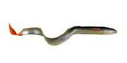 Силикон Savage Gear LB 3D Real Eel Bulk 20см Green Red Pearl Eei 1шт фотография