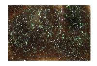 Даббинг Hends Microflash Dubbing MFD-335 Фотографія