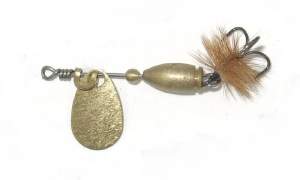 Блешня Маньячка Болек Золото Фотографія