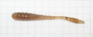 Tsunekichi Worm 2" 15шт #C-70 фотография