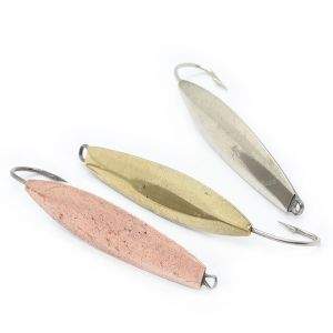 Блешня прямовисна РВС Прибережна Фотографія