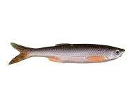 Силікон Savage Gear LB 3D Bleak Real Tail 10.5 см 04-Green Pearl Фотографія