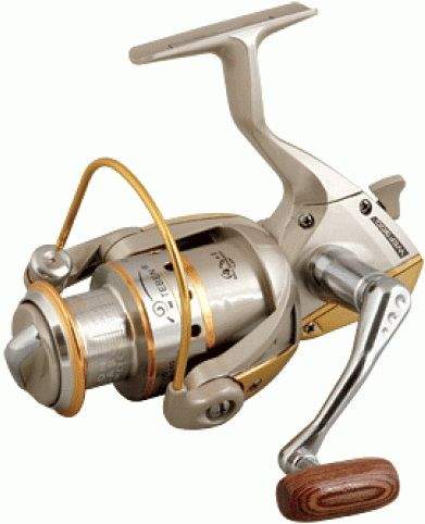 Котушка Teben WEF Фотографія