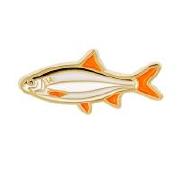 Значок Veduta Плотва 20мм Фотографія