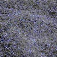 Даббинг Sybai Fine Super UV -Ultra Violet фотография