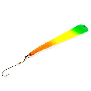 Блешня прямовисна Kuusamo Sinfonia Фотографія