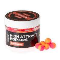 Бойли Технокарп Pop-Up 10мм Blackberry Фотографія