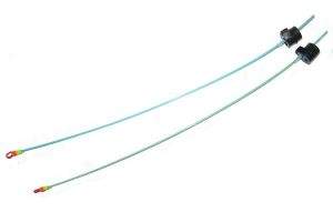 Кивок летний Змиев фотография