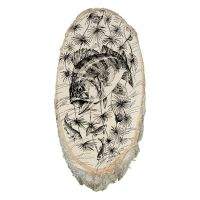 Дошка декоративна Acropolis ДР-3ш Окунь Фотографія