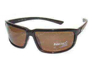 Очки Polar Eagle 519c3 фотография