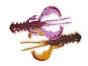 Силикон Crazy Fish Nimble 2.5" 12\14 7шт фотография