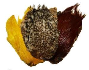 Скальп петуха Hends Cock Capes фотография