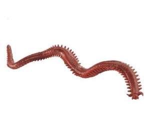 Силікон Berkley Gulp Nereis Фотографія