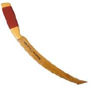 Квок Бехтер 010 довгий вигнутий Фотографія