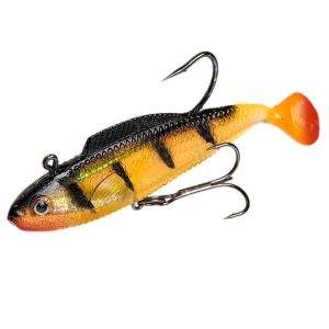 оснащенная рыбка Фотографія