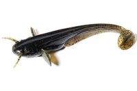 Силікон Fishup Catfish 2.0" 043-Watermelon 10шт Фотографія