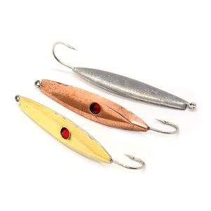 Блешня прямовисна РВС Прибережна з каменем Фотографія