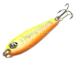 Блешня Pontoon21 Paco 10.5 м G70-02 Фотографія