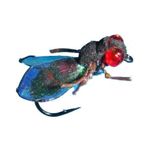 Сухая мушка Meat Fly  фотография