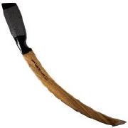 Квок Бехтер Горіх 000 довгий вигнутий Фотографія