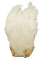 Скальп курки Hends Hen Capes CH-01 Фотографія