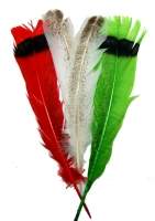 Перо індика хвостове Strike Turkey Tail Feathers Фотографія