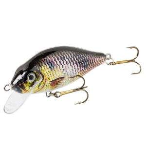 джексон карась фотография