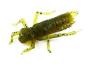 Силикон Fishup Dragonfly 0.75" 074-Flo Green Pumpkin Seed 12шт фотография