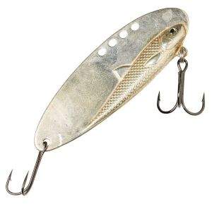 Цикада бокоплав фотография