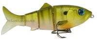 Воблер Reaction Strike Revolution Shad 4" 100FS BG фотография