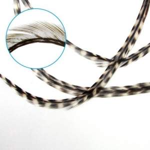 Перья седла петуха Whiting Cock Feathers фотография