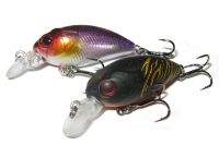 купить цуеки фугас Фотографія