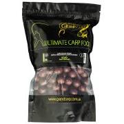 Бойлы Grandcarp прикормочные долгорастворимые 1кг 20мм Кальмар фотография