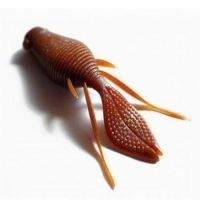 Силикон Megabass Dong-Path 3.5" фотография