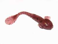 Силікон Fanatik Goby 3.5" 021 (5шт) Фотографія