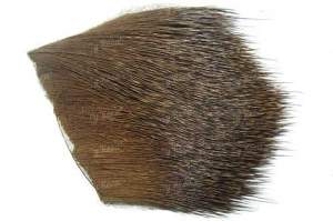 Мех Косули Фотографія