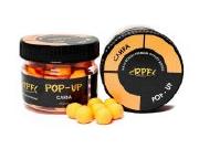 Бойли Pop-Up RPF Classic 10mm 25g Слива Фотографія