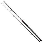Спиннинг Flagman Blackfire Cat Fish 80H 2.44m 50-200g фотография