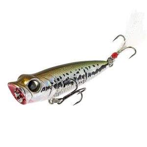 попер овнер фото Фотографія