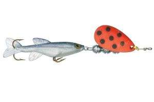 Блешня Kuusamo Lippa with minnow Фотографія