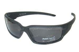 Очки Polar Eagle 541c2 фотография