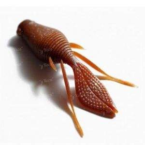 Силикон Megabass Dong-Path 3.5" фотография