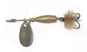 Блешня Маньячка Лелек Чорний Фотографія