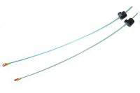 Кивок річний Зміїв Фотографія