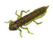 Силікон Fishup Dragonfly 0.75" 019-Motor Oil-Red 12шт Фотографія