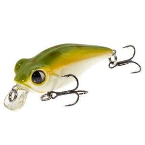 owner bug eye фото фотография