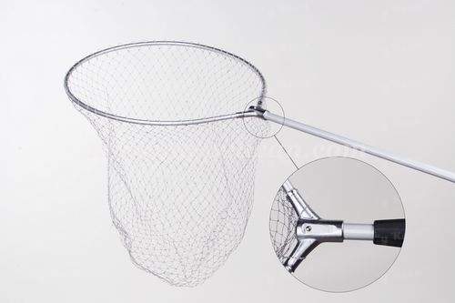 Підсаку EOS 5988002 Фотографія