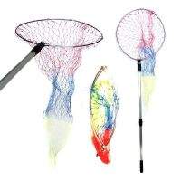 Подсак Energo Team 60см складной круглый 76625608 фотография