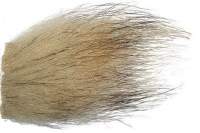 Мех барсука фотография