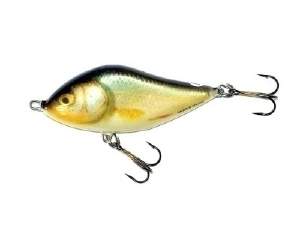 Воблер Salmo Slider SD10S RR Фотографія